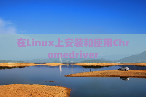 在Linux上安装和使用Chromedriver