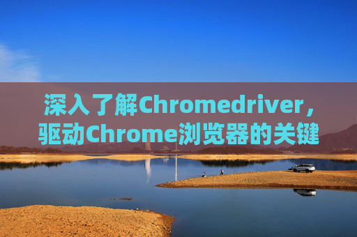 深入了解Chromedriver，驱动Chrome浏览器的关键工具