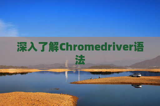 深入了解Chromedriver语法