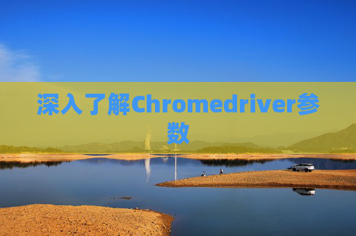 深入了解Chromedriver参数